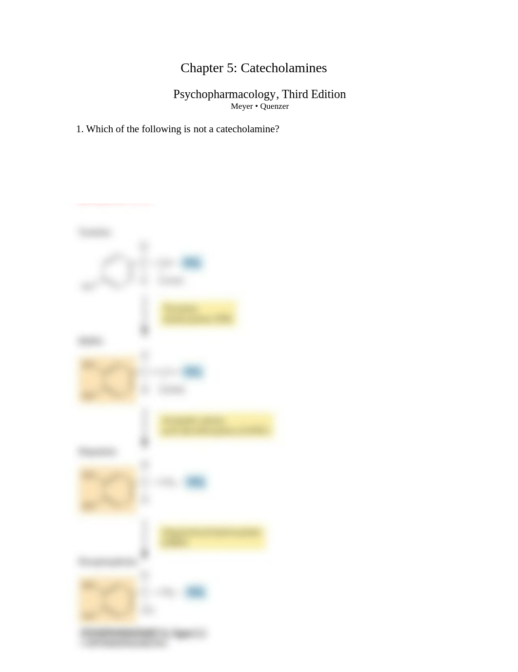 Psyphar3e Ch05 Study Guide.docx_ddc0z4apjxl_page1