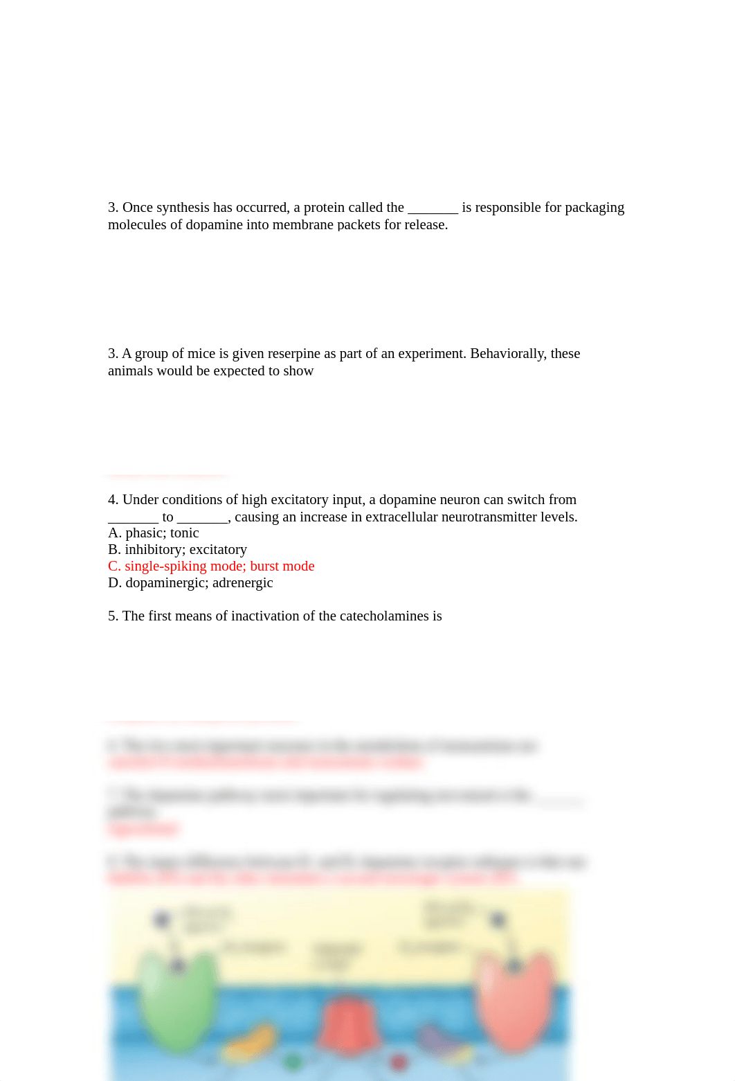 Psyphar3e Ch05 Study Guide.docx_ddc0z4apjxl_page2