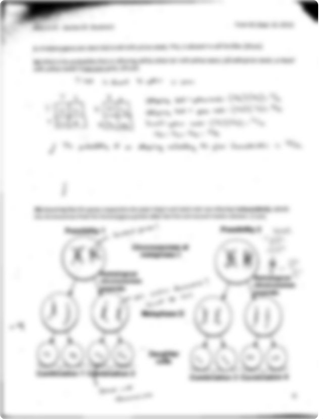 Biology Genetics Exam 1 Packet page 3_ddc1r6zo89c_page2