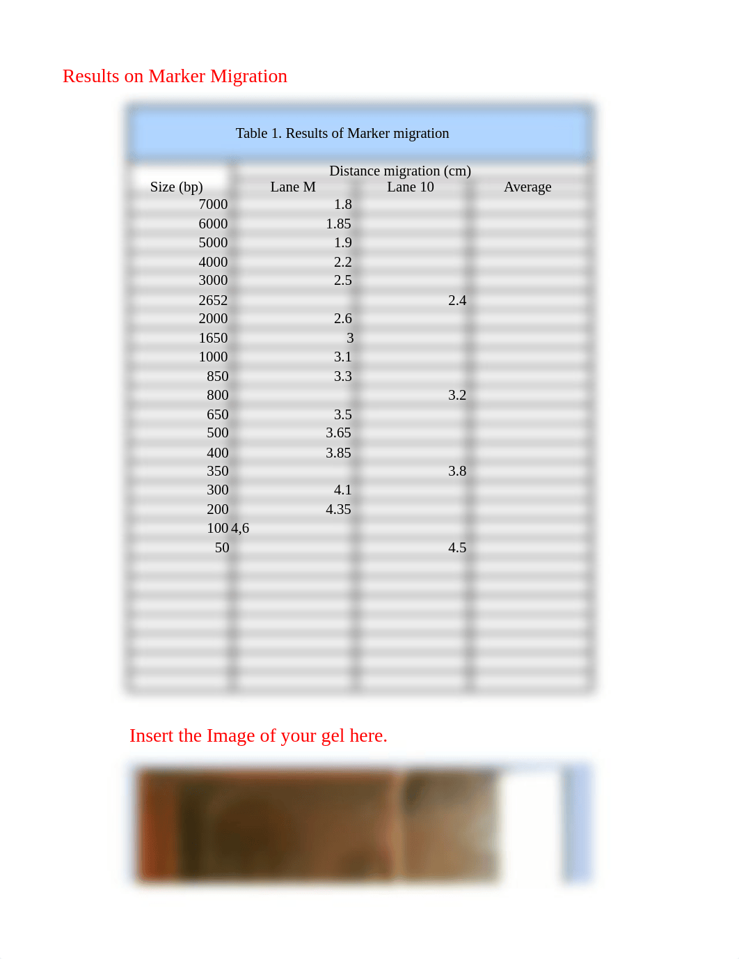 Molecular Biology Post-Lab Assignment .xlsx_ddc4w0g4xib_page3