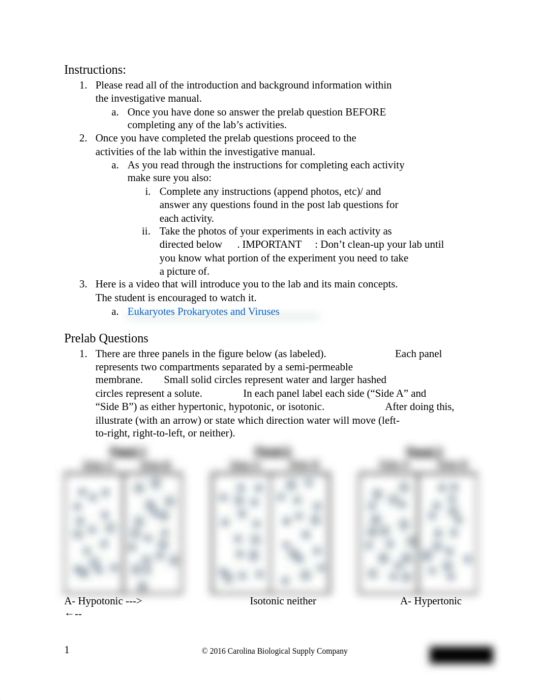 Lab_Report_Eukaryotes_Prokaryotes_and_Viruses.docx_ddc6w5mdft3_page2