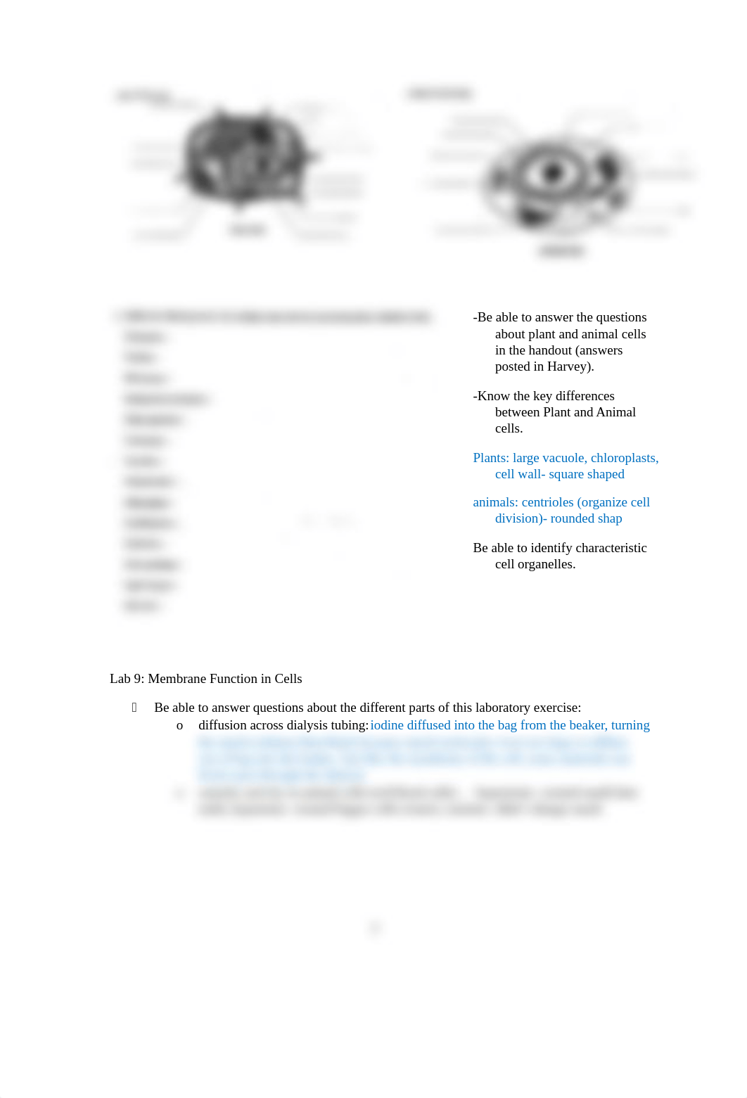 Final Exam Study- Bio Lab.dotx_ddc8kedfyzg_page2