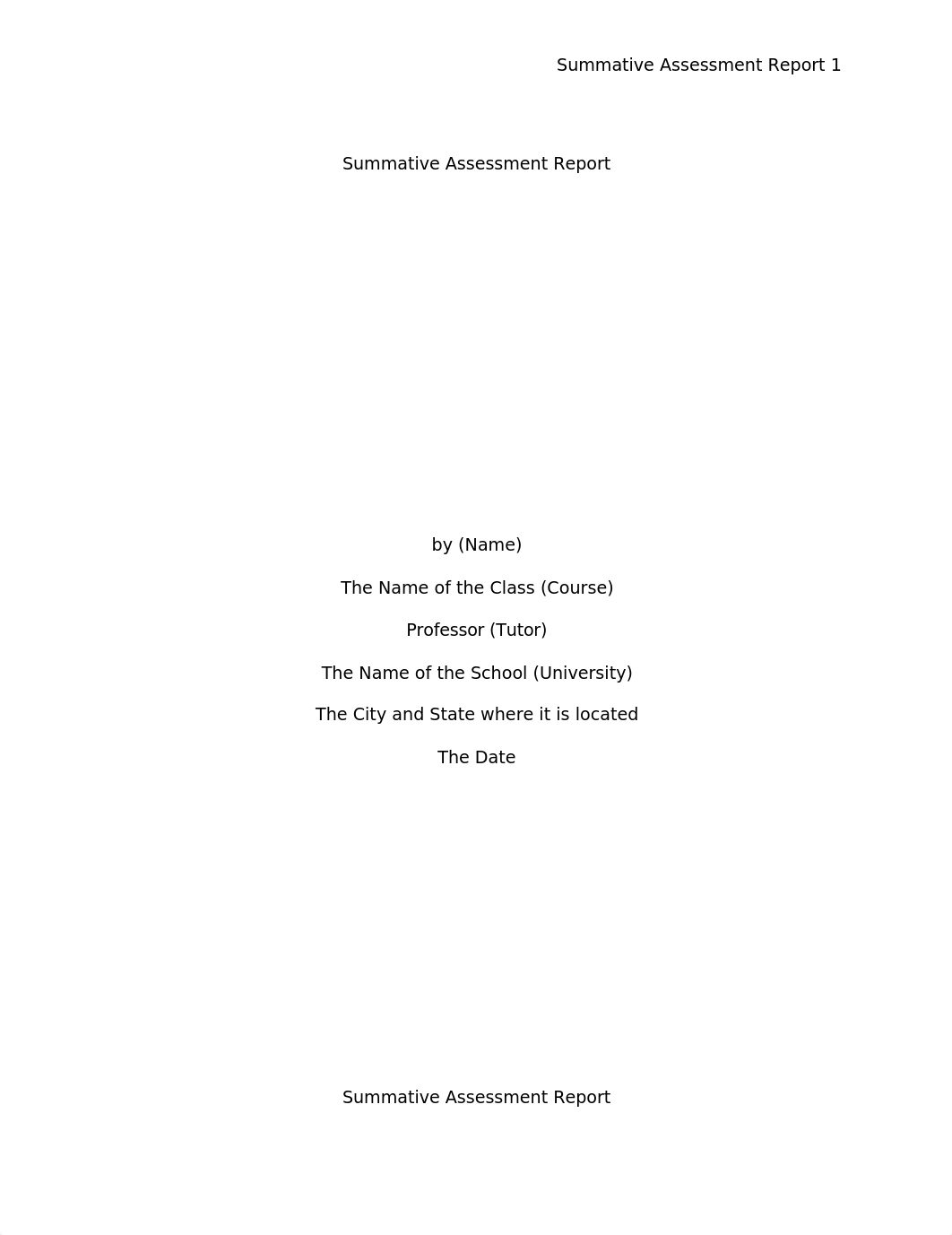 Summative Assessment Report.edited.docx_ddce76010oo_page1