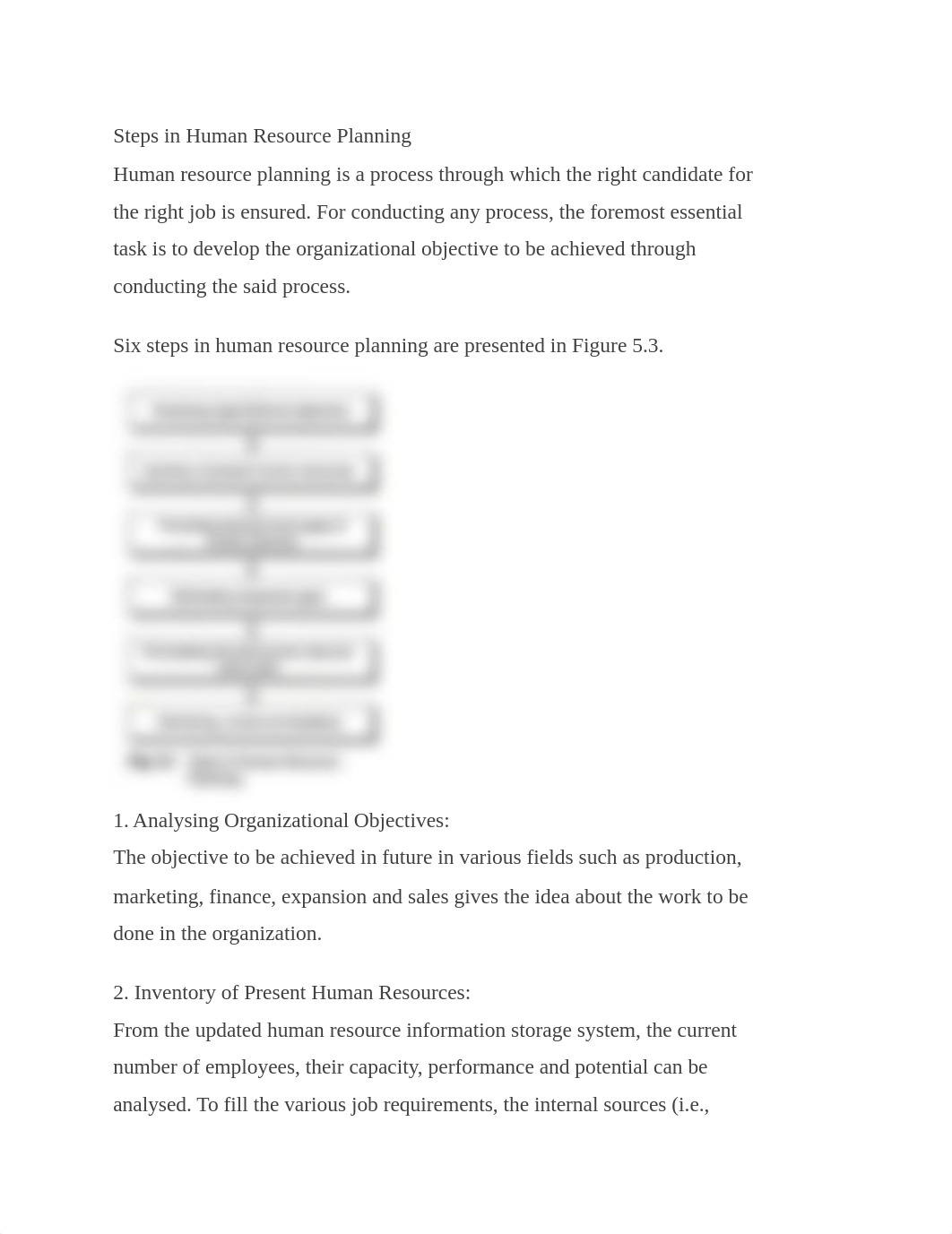 Steps in HR Planning_ddclgqfwxgm_page1