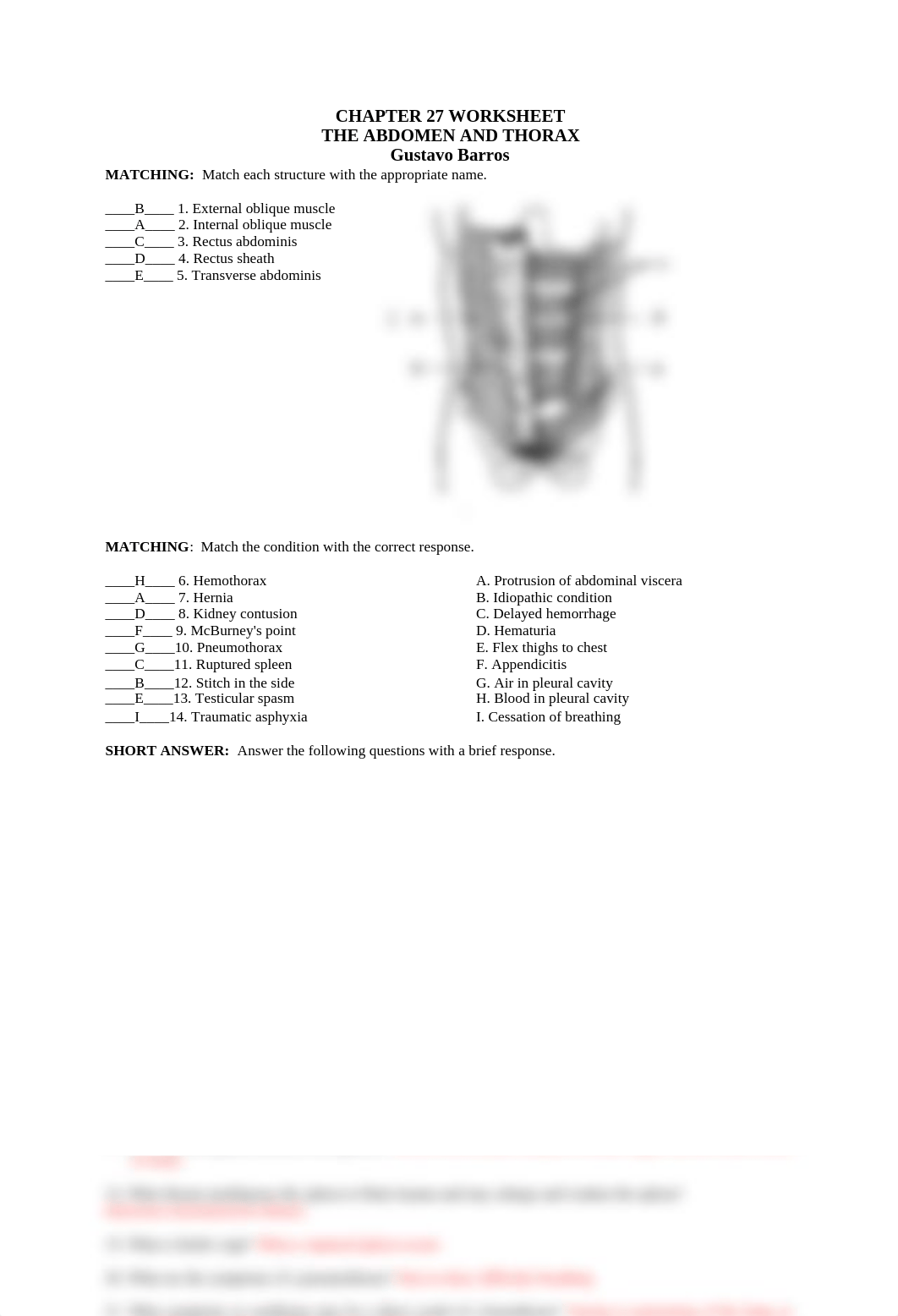 Abdomen worksheet.pdf_ddcmichrsbk_page1