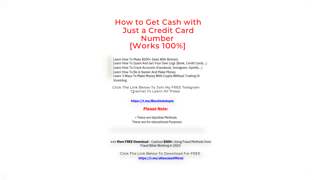 How to Get Cash with Just a Credit Card Number [Works 100%].pdf_ddcp3jvnkm1_page2