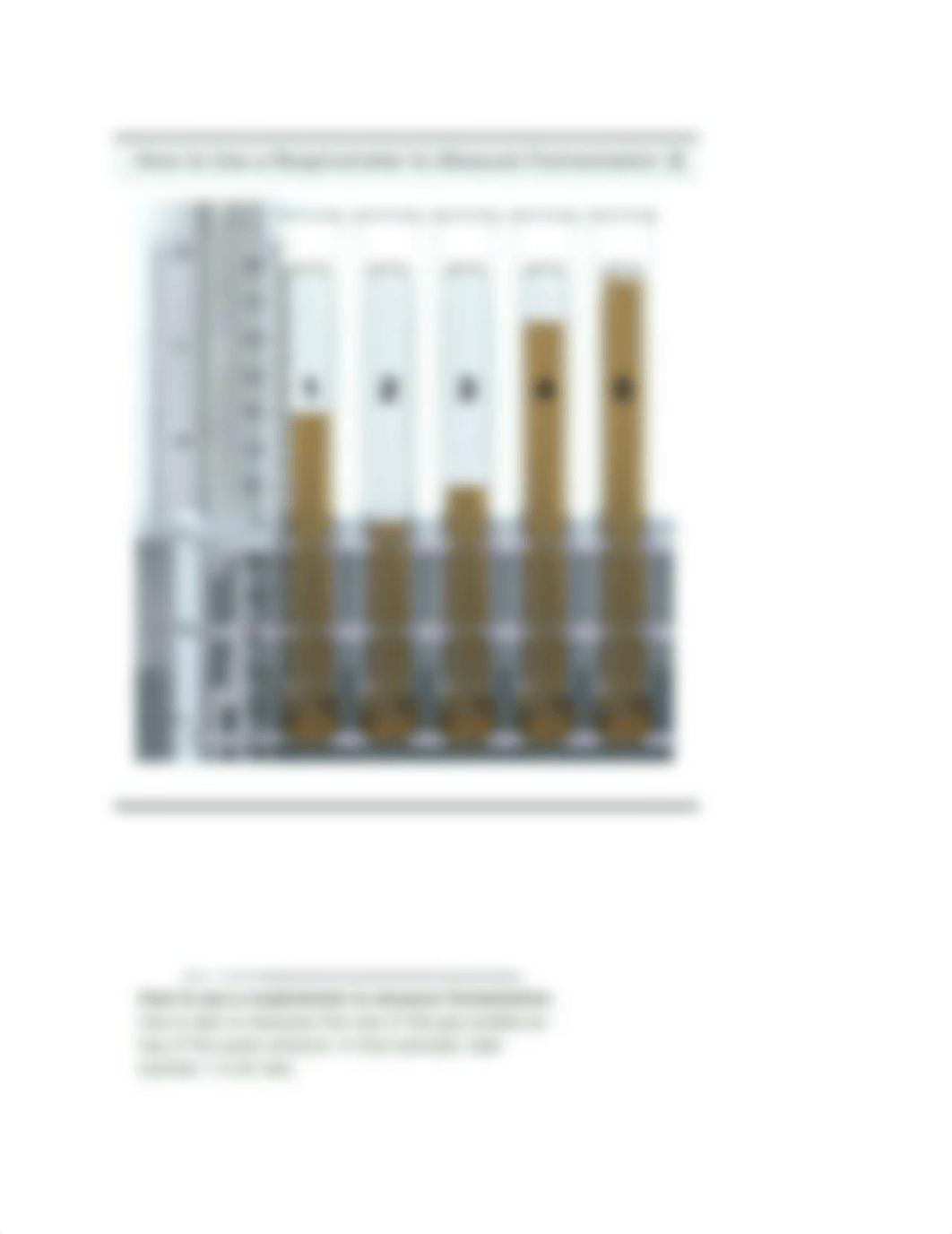 Lab exam study 2_ddcs2xmpm2t_page4