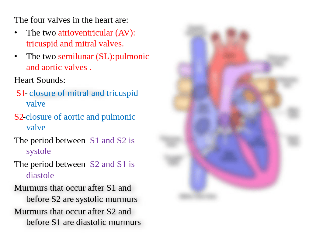 Cardiovascular.pdf_ddd0tnompw2_page2