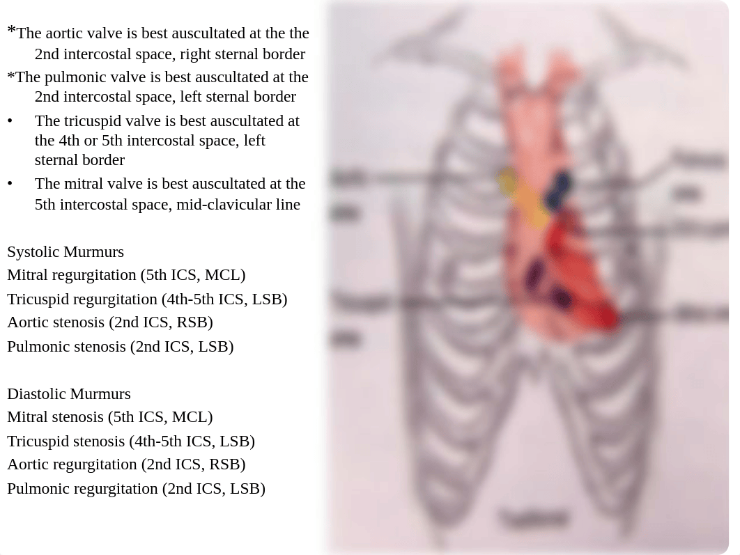 Cardiovascular.pdf_ddd0tnompw2_page3