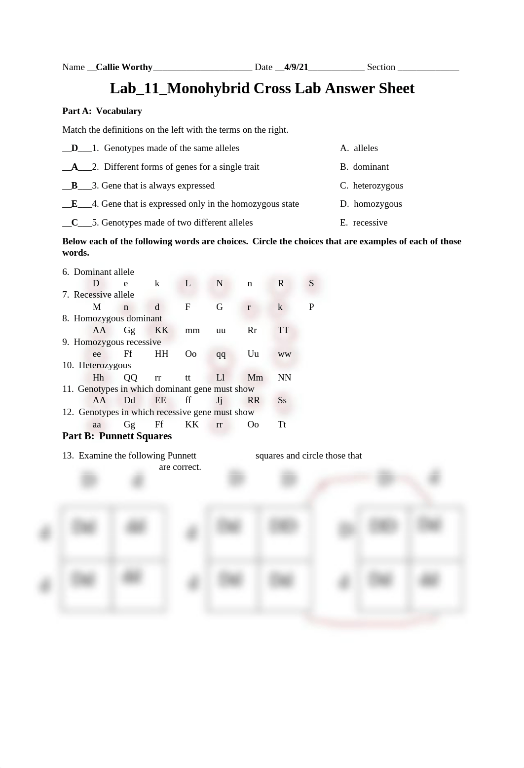 Lab_11_AS_Monohybrid Cross Lab.docx_ddd63d4ymnd_page1