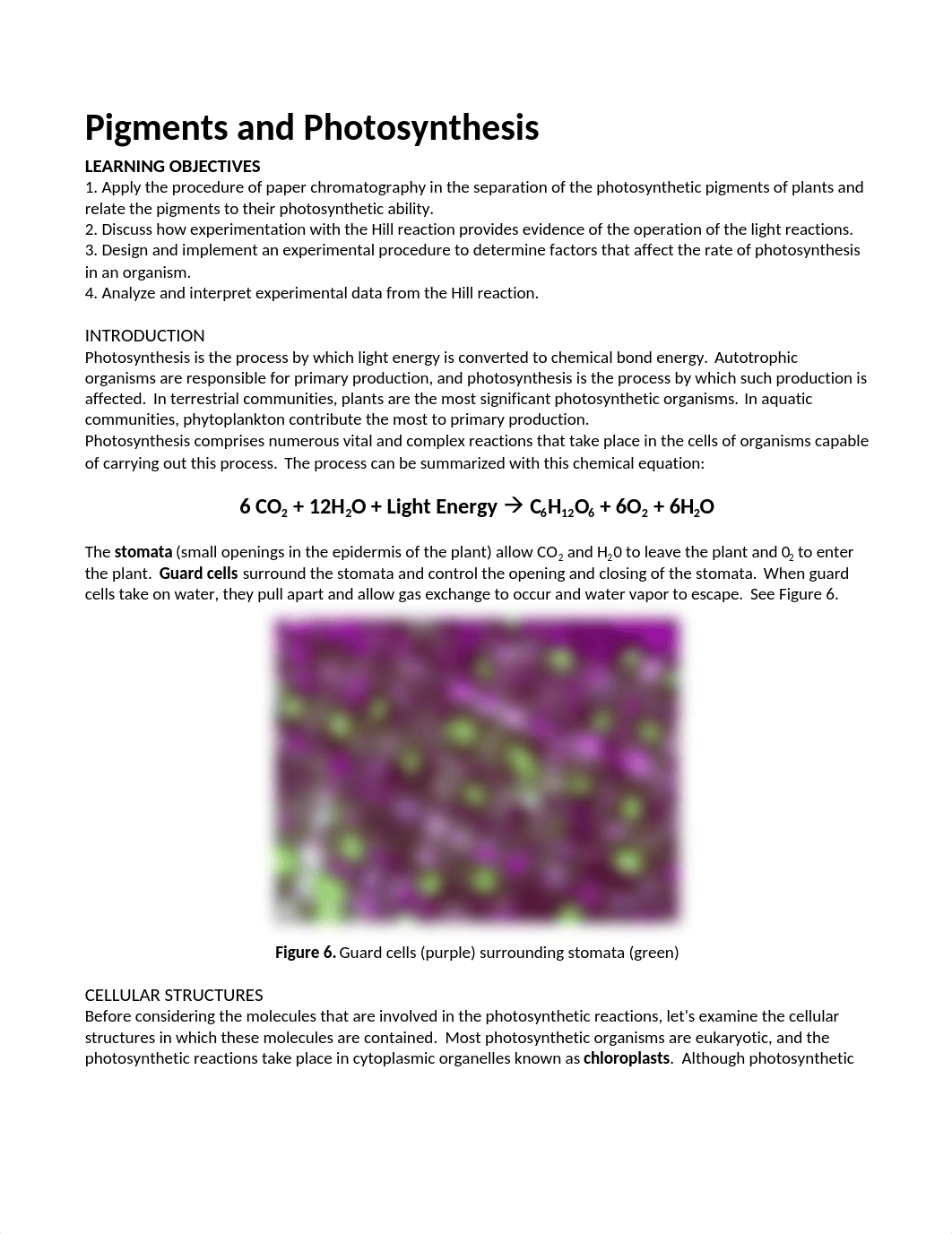 Unit 3 Lab 2 Photosynthesis Lab.docx_dddb8uc0yu4_page1