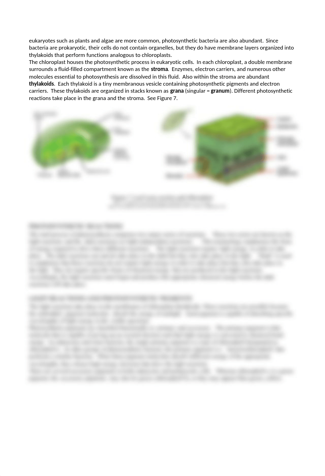 Unit 3 Lab 2 Photosynthesis Lab.docx_dddb8uc0yu4_page2