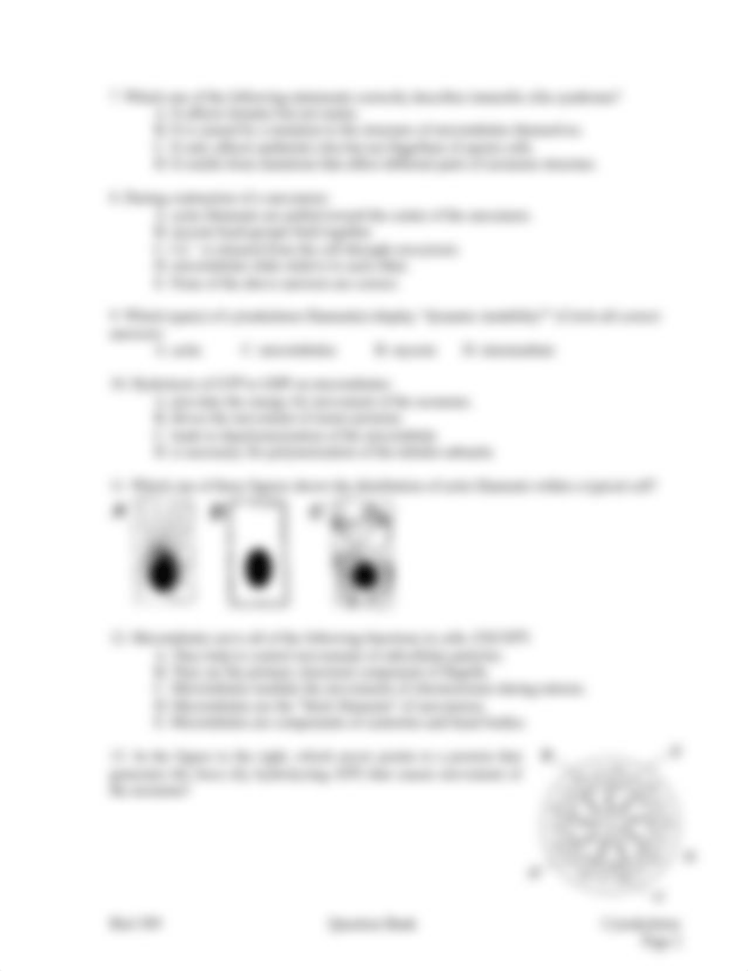 3Cytoskeleton_dddhb5f8gwi_page2