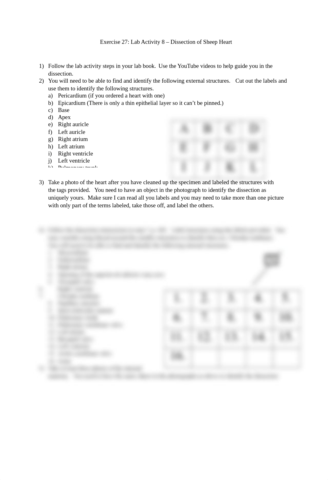 Exercise 27 - Report (Heart Dissection).docx_dddkh70d4mx_page1