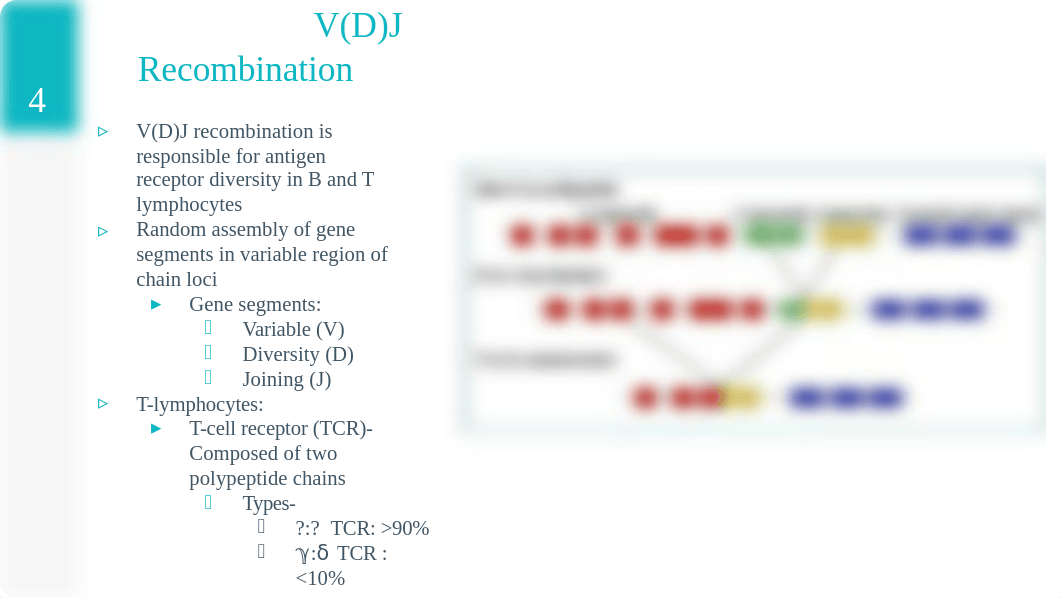 Case 7 Omenn Syndrome.pptx_dddnephvwrm_page4