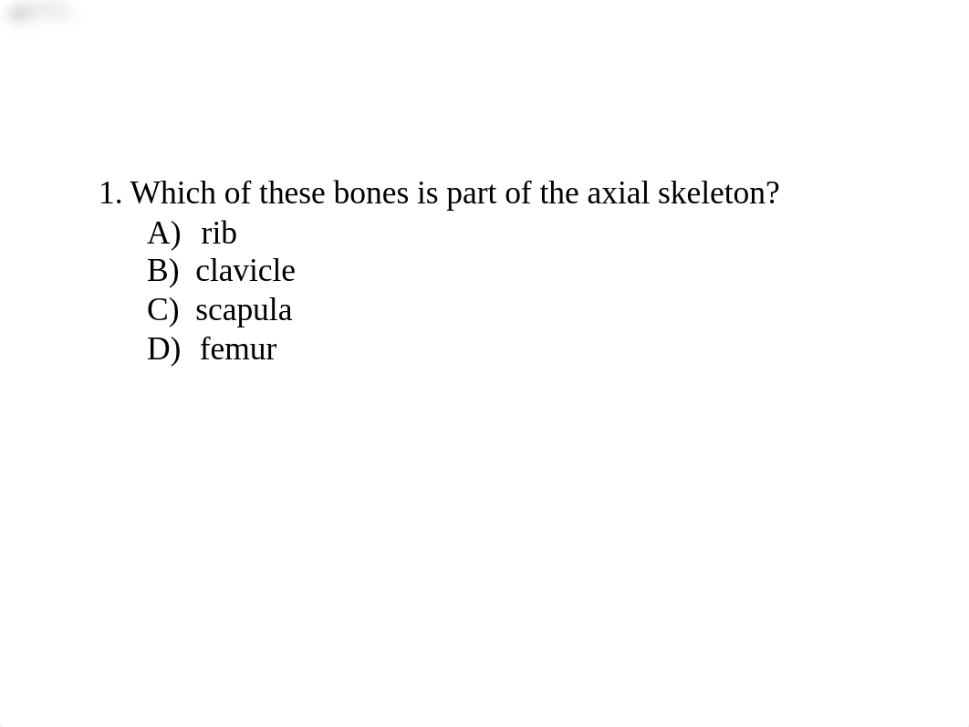 Quiz skeleton system no jointes.pptx_dddnvxvw7kh_page2