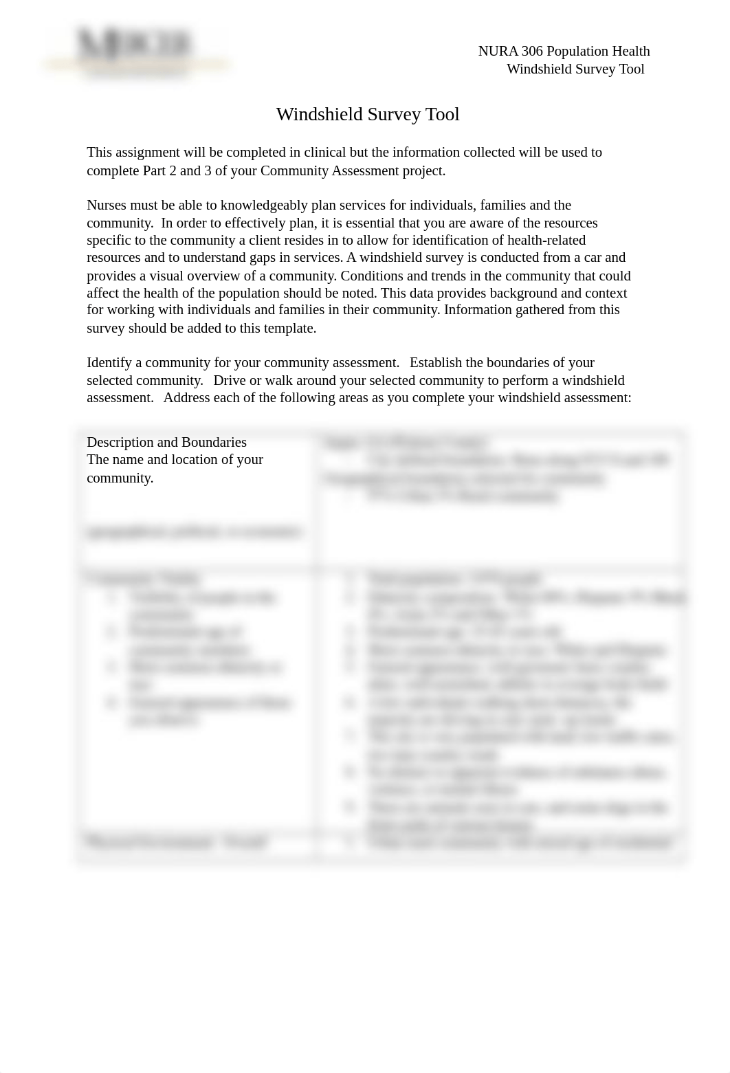 Windshield Survey Tool Formatted.docx_dddpfpa9tdq_page1