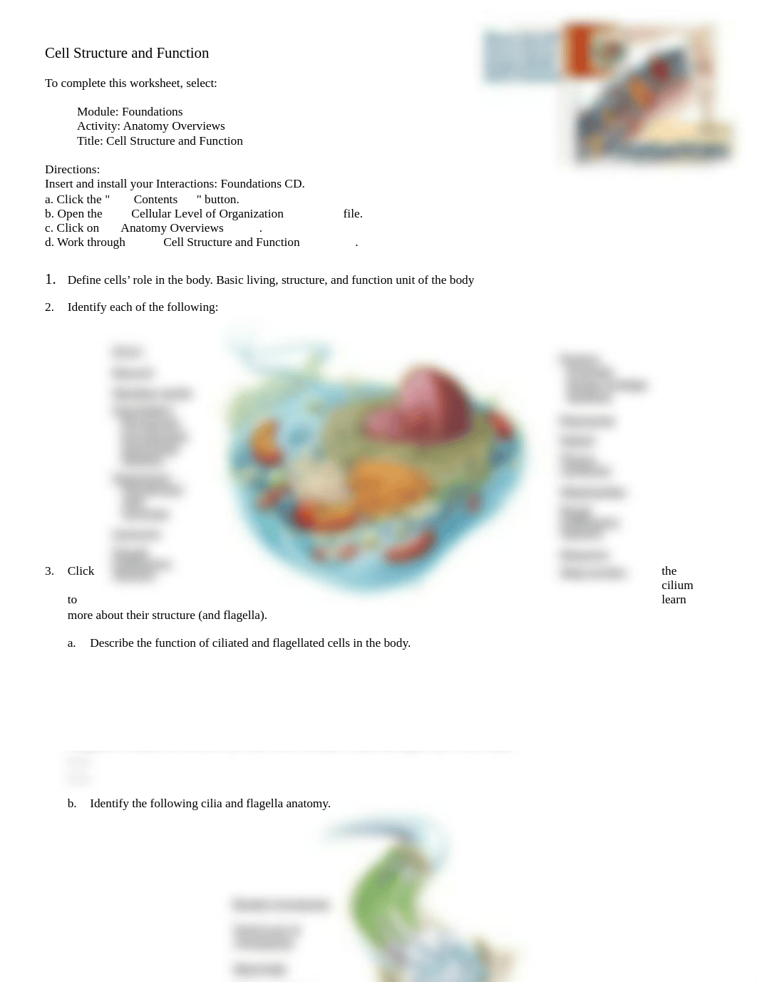 Cell structure and function.doc_ddduzyyzi4b_page1