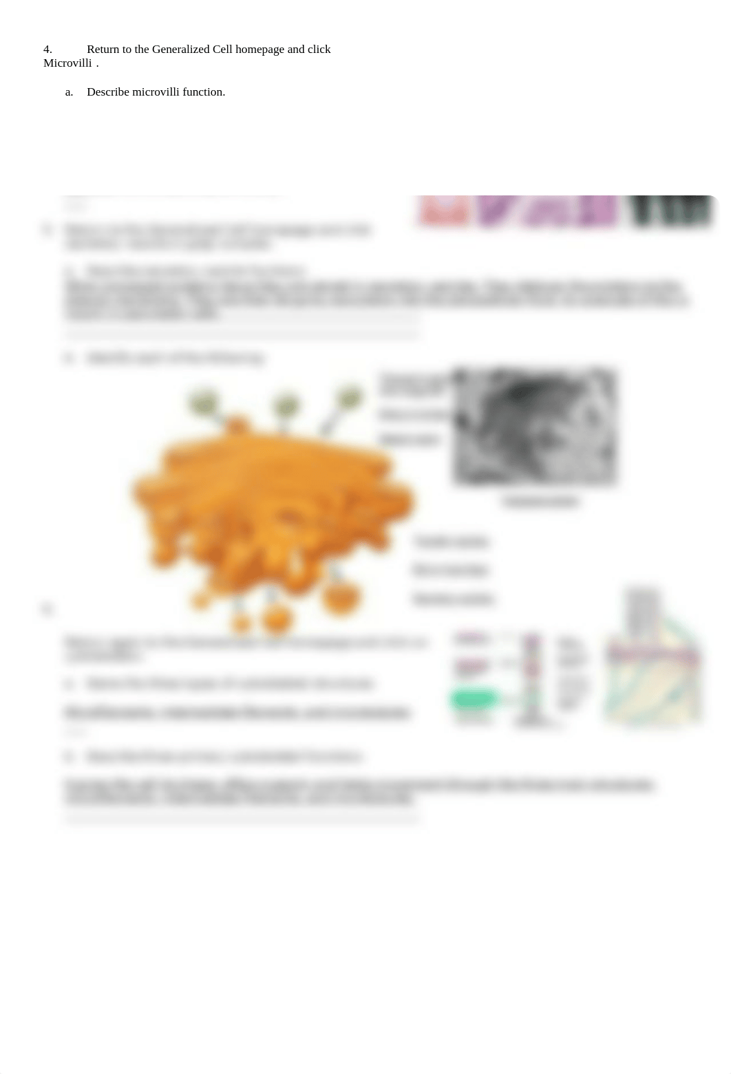 Cell structure and function.doc_ddduzyyzi4b_page2