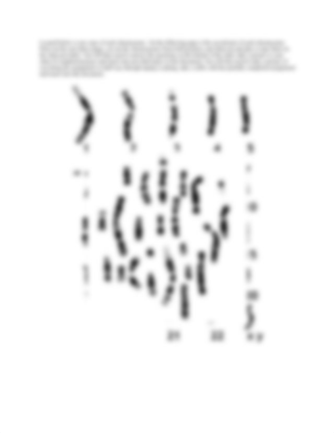 Lab 4 Chromosomes and Karyotyping (1).docx_dde7dknml2o_page2