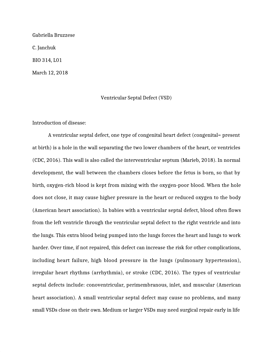 a&p2 lab paper 1 VSD.docx_ddeb0fn37mv_page1