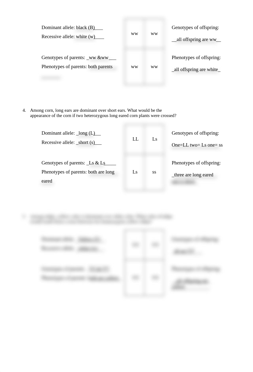 Lab 05 Punnett Square Handout C. Bright 261799.docx_ddefidl46nn_page2