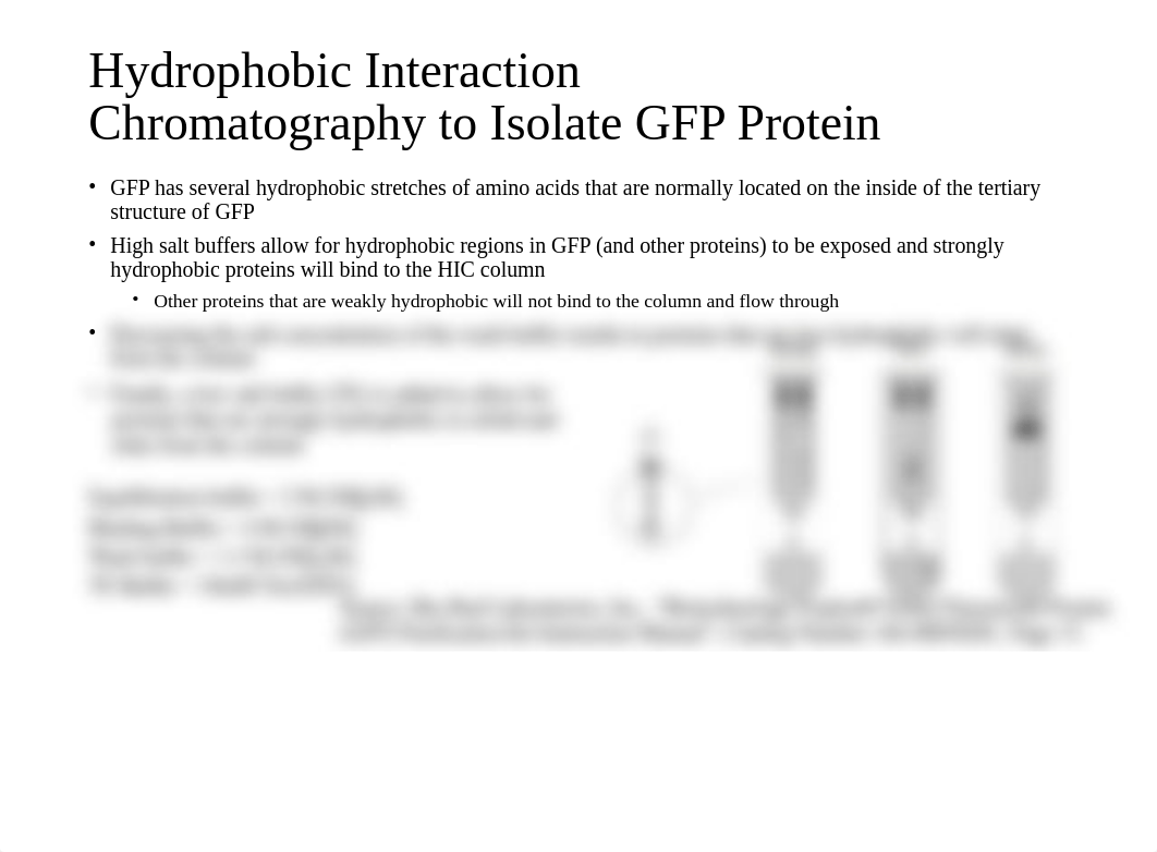 Week 2 - Introduction to GFP purification and verification.pptx_ddeksa8n0lh_page5