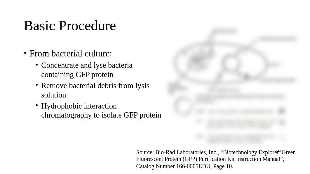 Week 2 - Introduction to GFP purification and verification.pptx_ddeksa8n0lh_page2