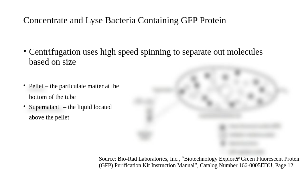 Week 2 - Introduction to GFP purification and verification.pptx_ddeksa8n0lh_page3