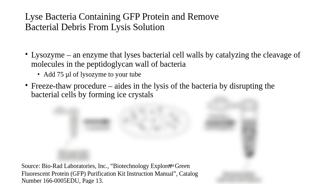 Week 2 - Introduction to GFP purification and verification.pptx_ddeksa8n0lh_page4