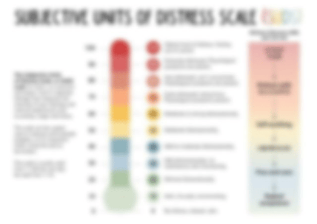 Subjective-units-of-distress-scale_etsy_LightandSaltDesignCo_A4.pdf_ddepoy3jfdt_page1