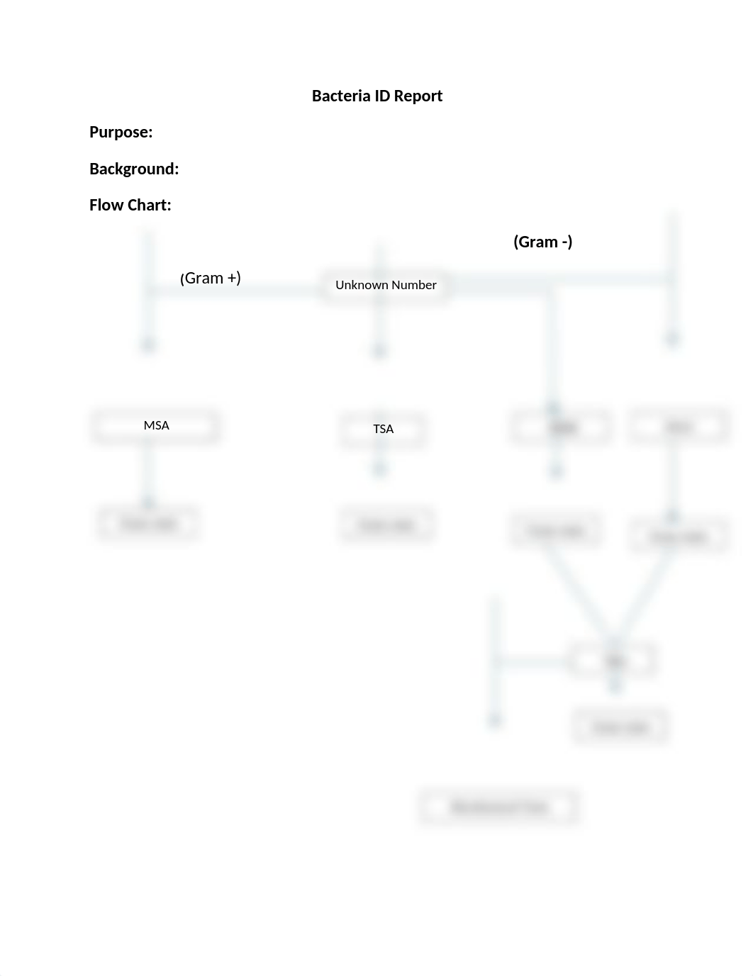 Bacteria ID Report.docx_ddesmhtlsmn_page1