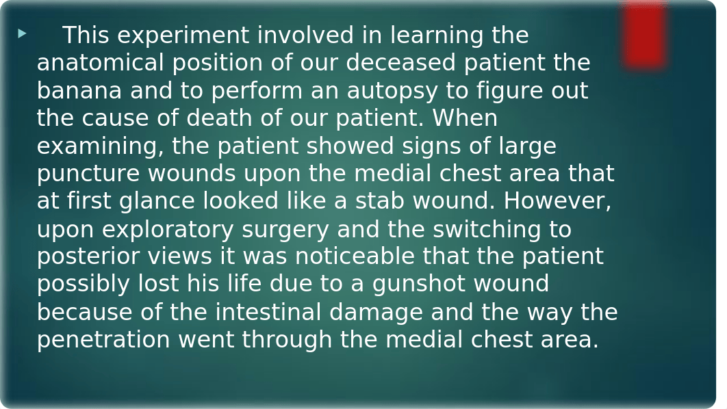 Banana Autopsy powerpoint.pptx_ddex9y2jgs2_page2