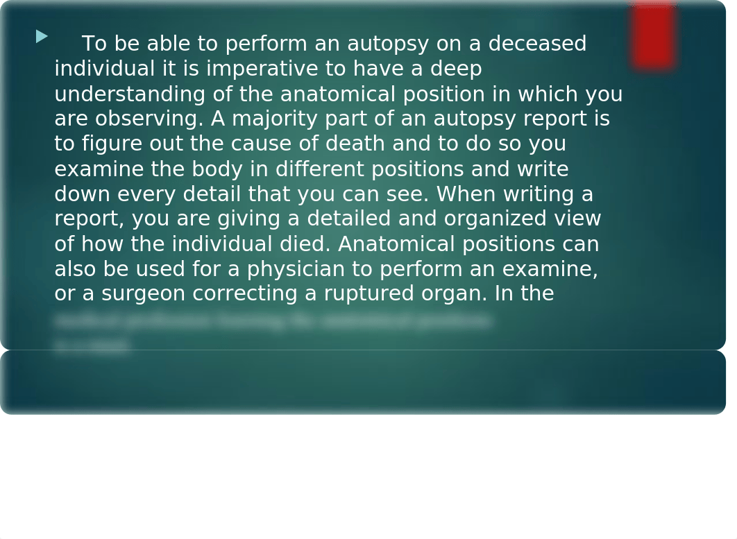 Banana Autopsy powerpoint.pptx_ddex9y2jgs2_page3