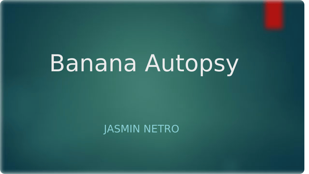 Banana Autopsy powerpoint.pptx_ddex9y2jgs2_page1