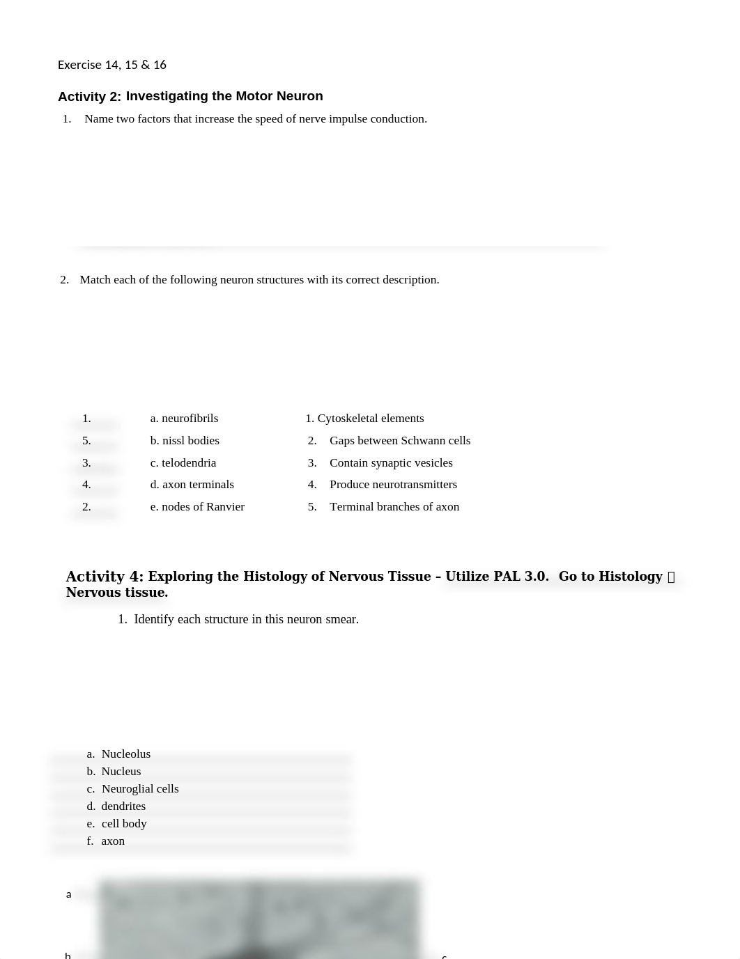 Unit8LabExercise.docx_ddf6qbqq8as_page1