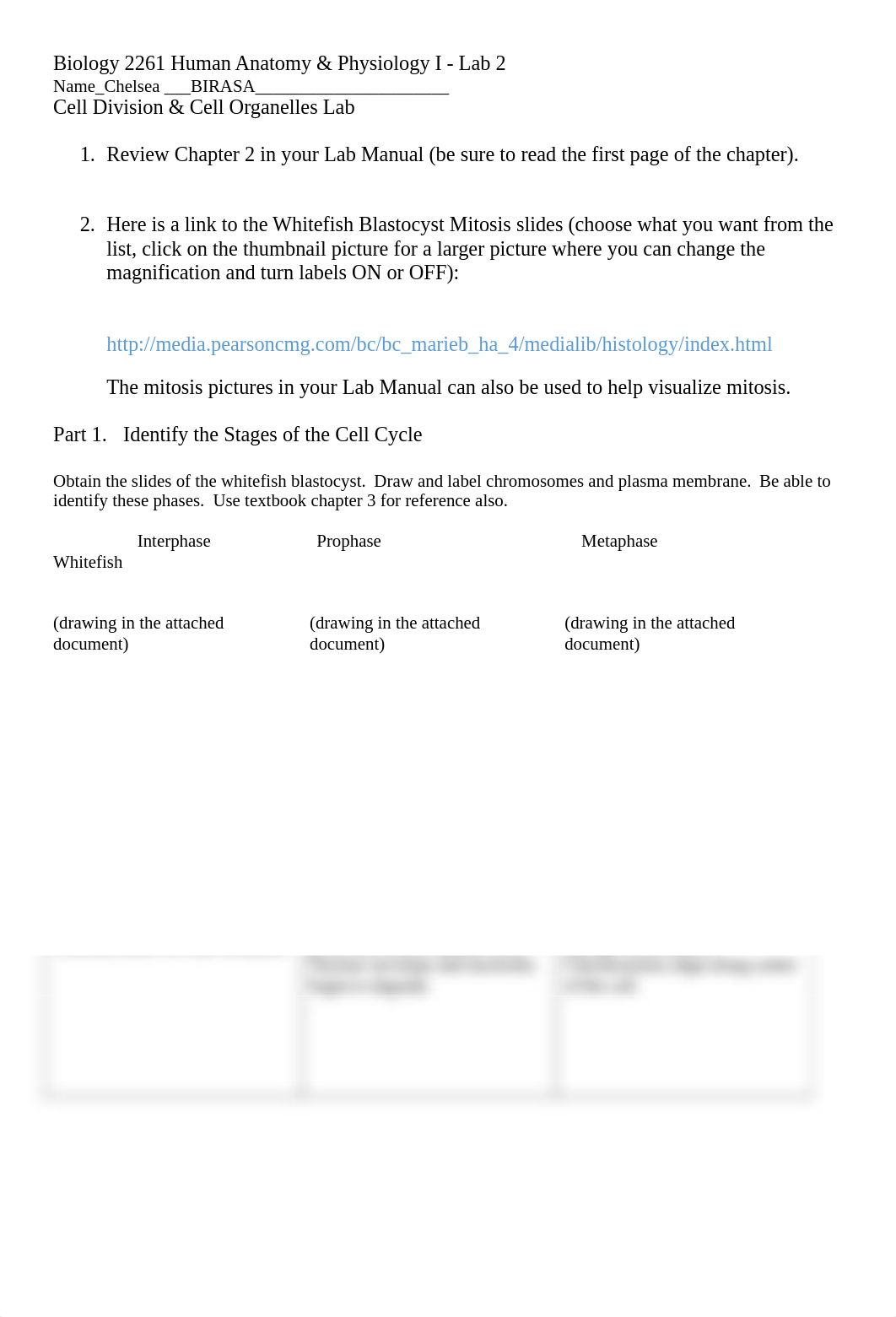 BIOL 2260 Kitty's Cell Organelles and Division_online.doc_ddfiykhrk99_page1