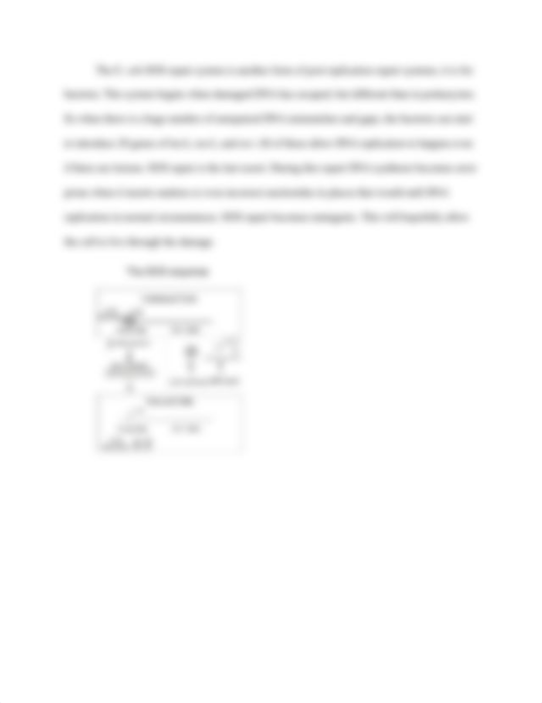 DNA Repair Mechanisms.docx_ddfvkppi8ou_page2