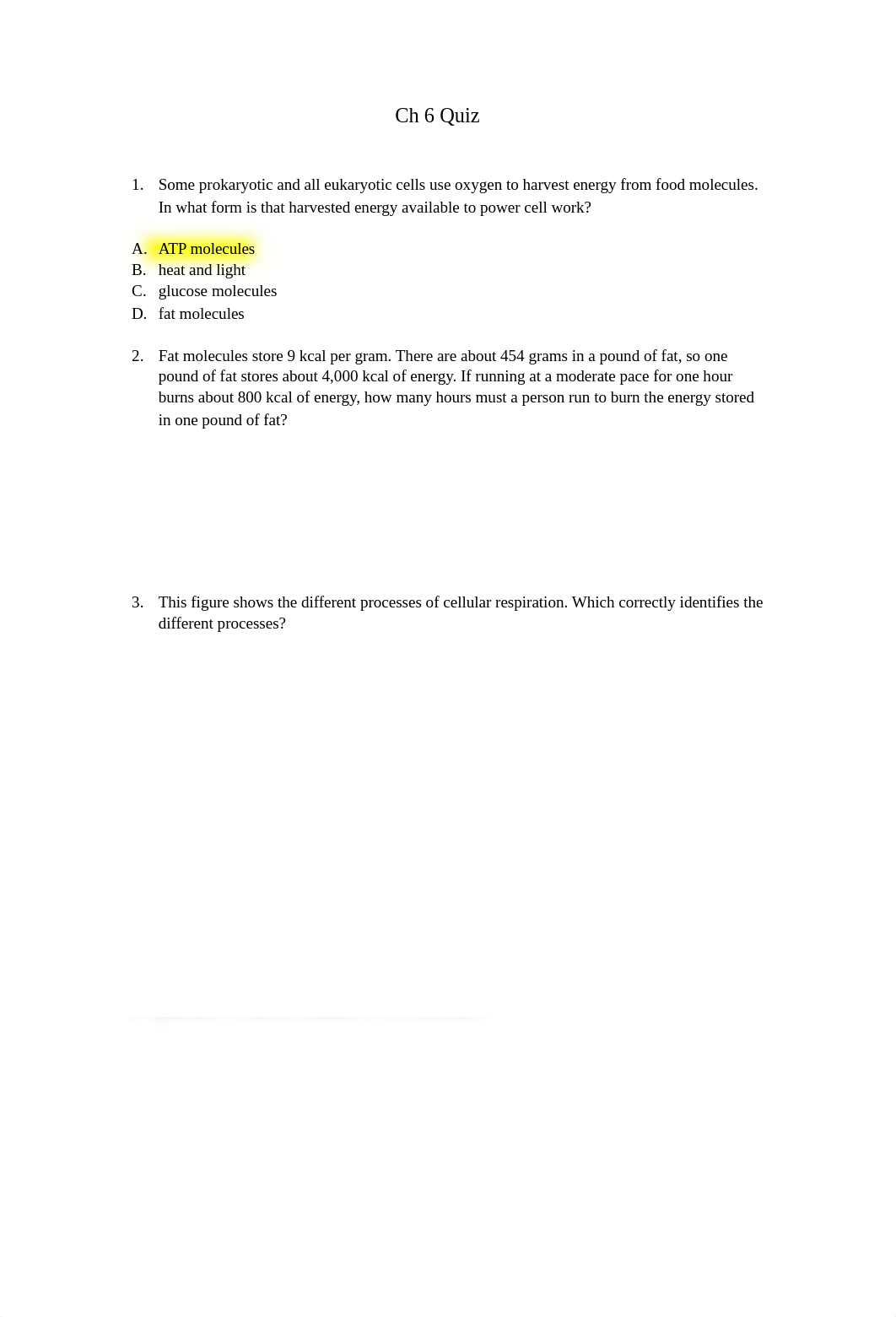 Ch 6 Quiz.docx_ddg4ddnmelu_page1