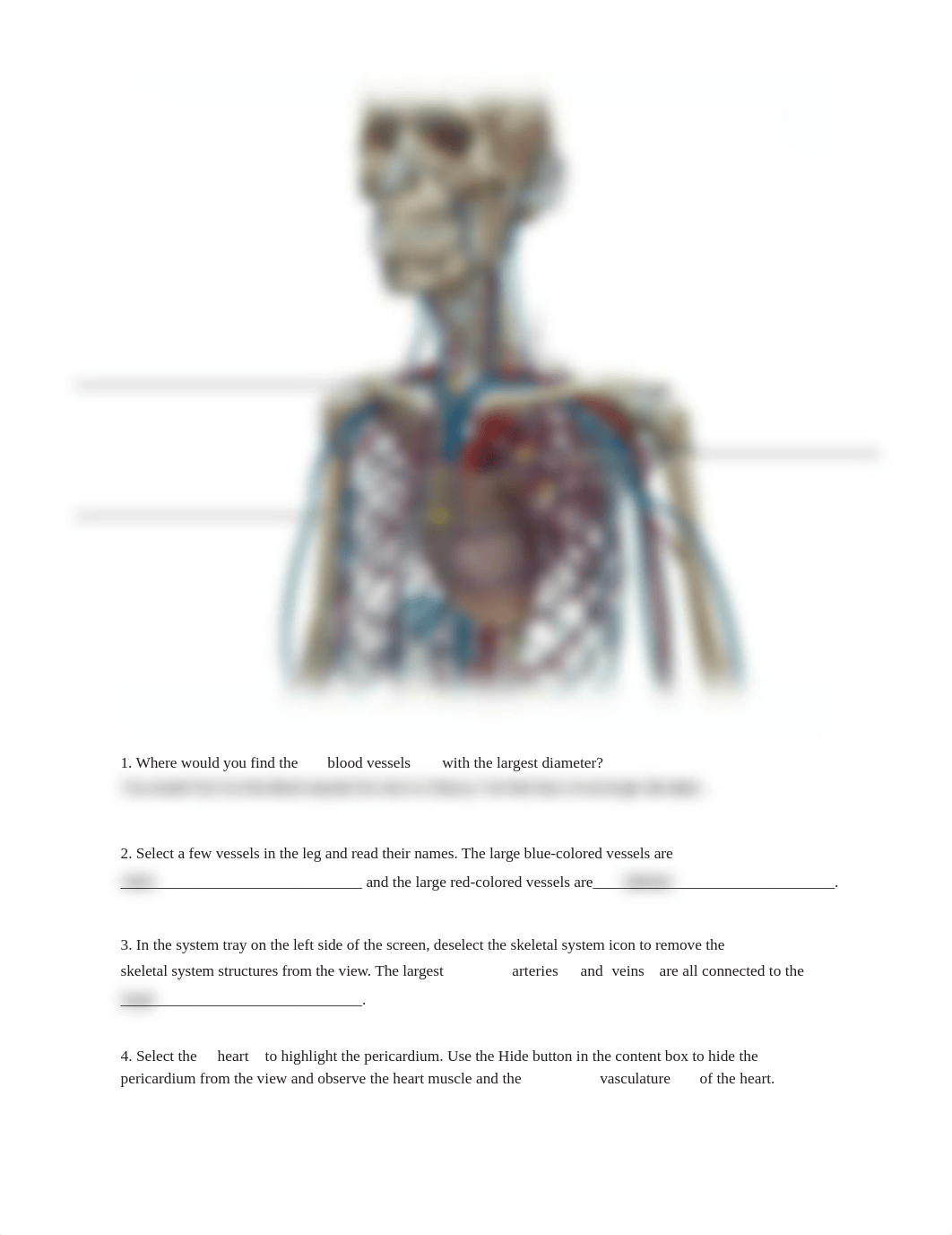 Lab_Activity_-_Blood_Vessels_I.pdf_ddg8leqkdie_page3