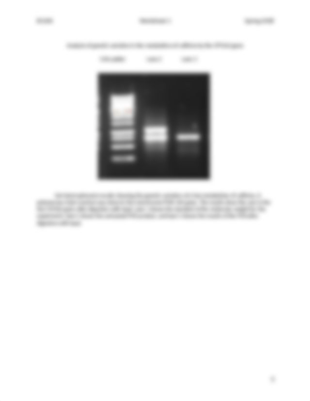 W1 Exploring Genetic Variation in a Caffeine Metabolism Gene STUDENT VS-edit S18.docx_ddg9r6upzbg_page3