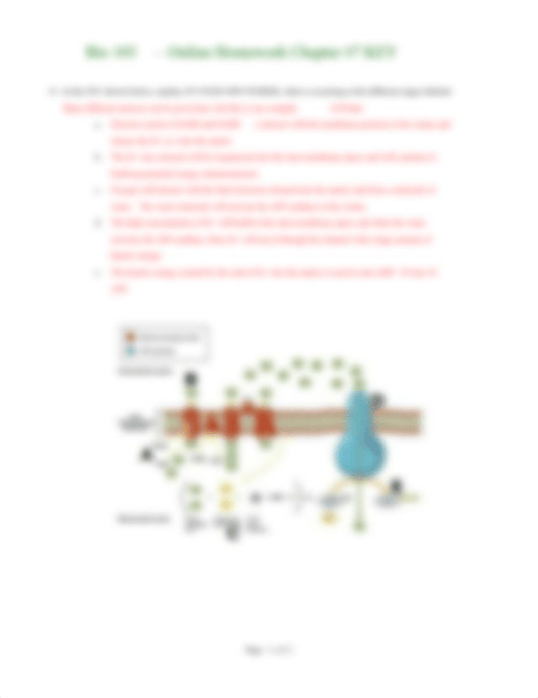 Bio 103 Homework 7 - Cell Respiration KEY.pdf_ddgfqp66tst_page2