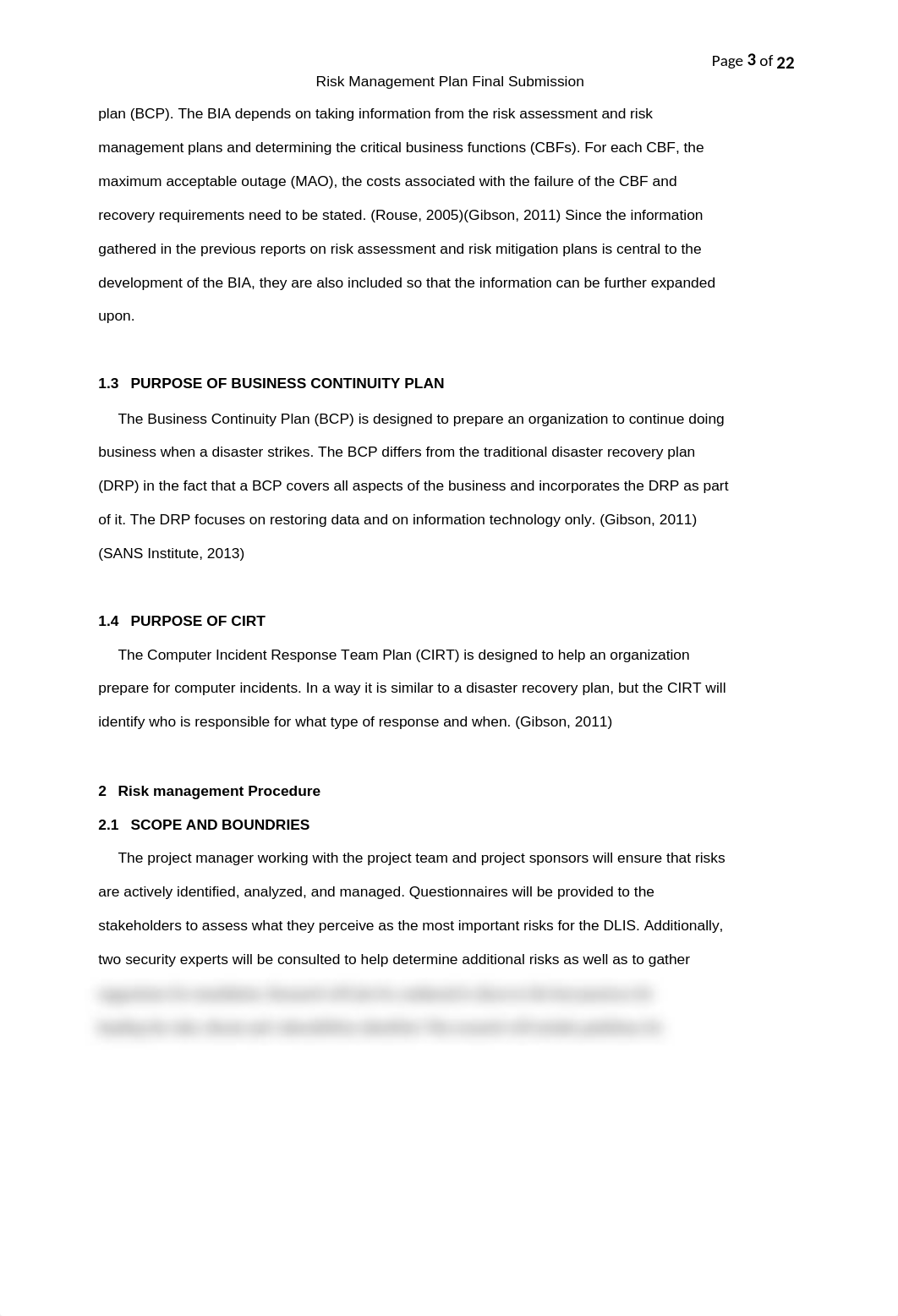 Risk Management Plan Final_ddgh9udex6d_page3