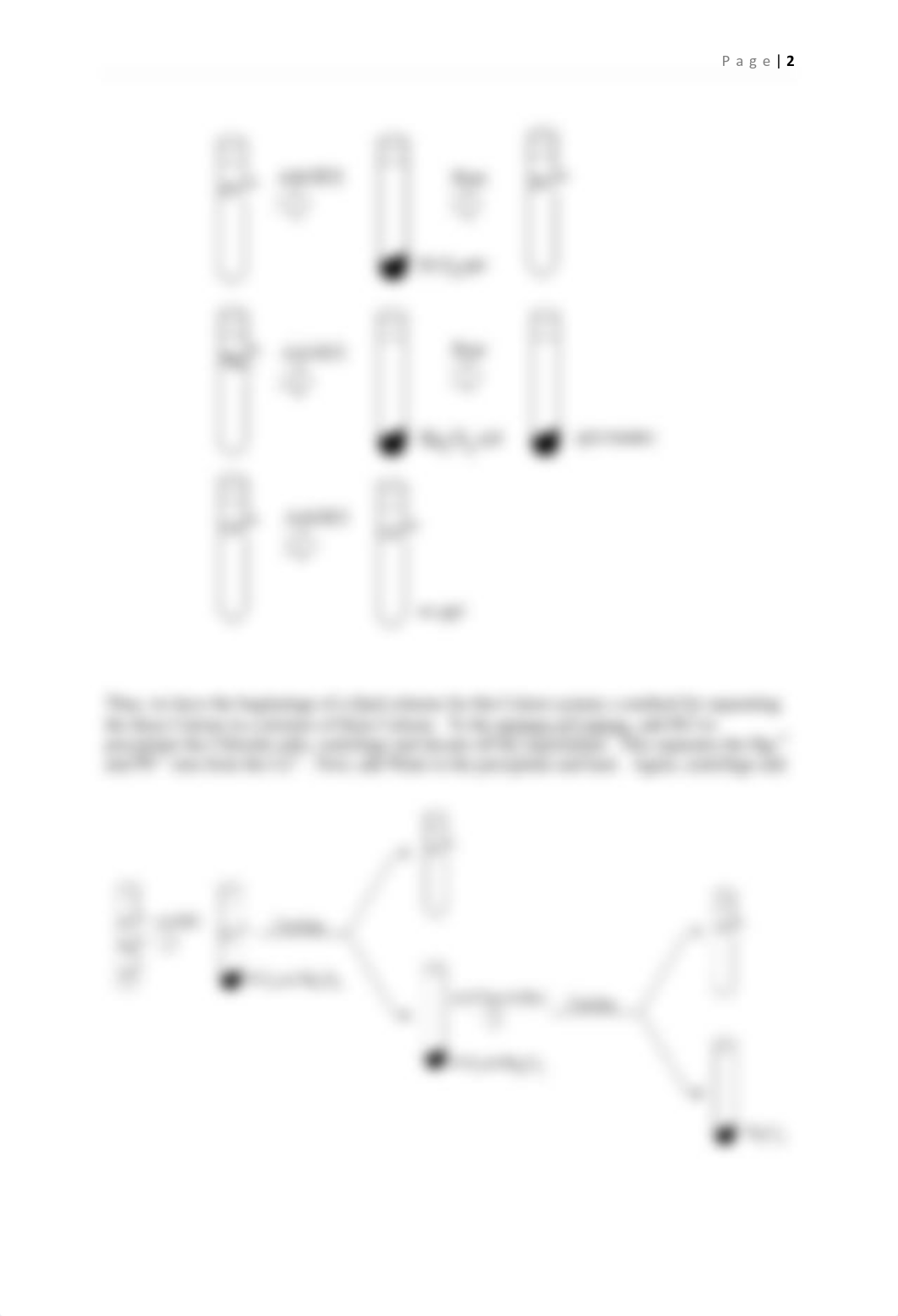 [CHEM122Lab#10]QualAnalysis_ddghr9glm6j_page2