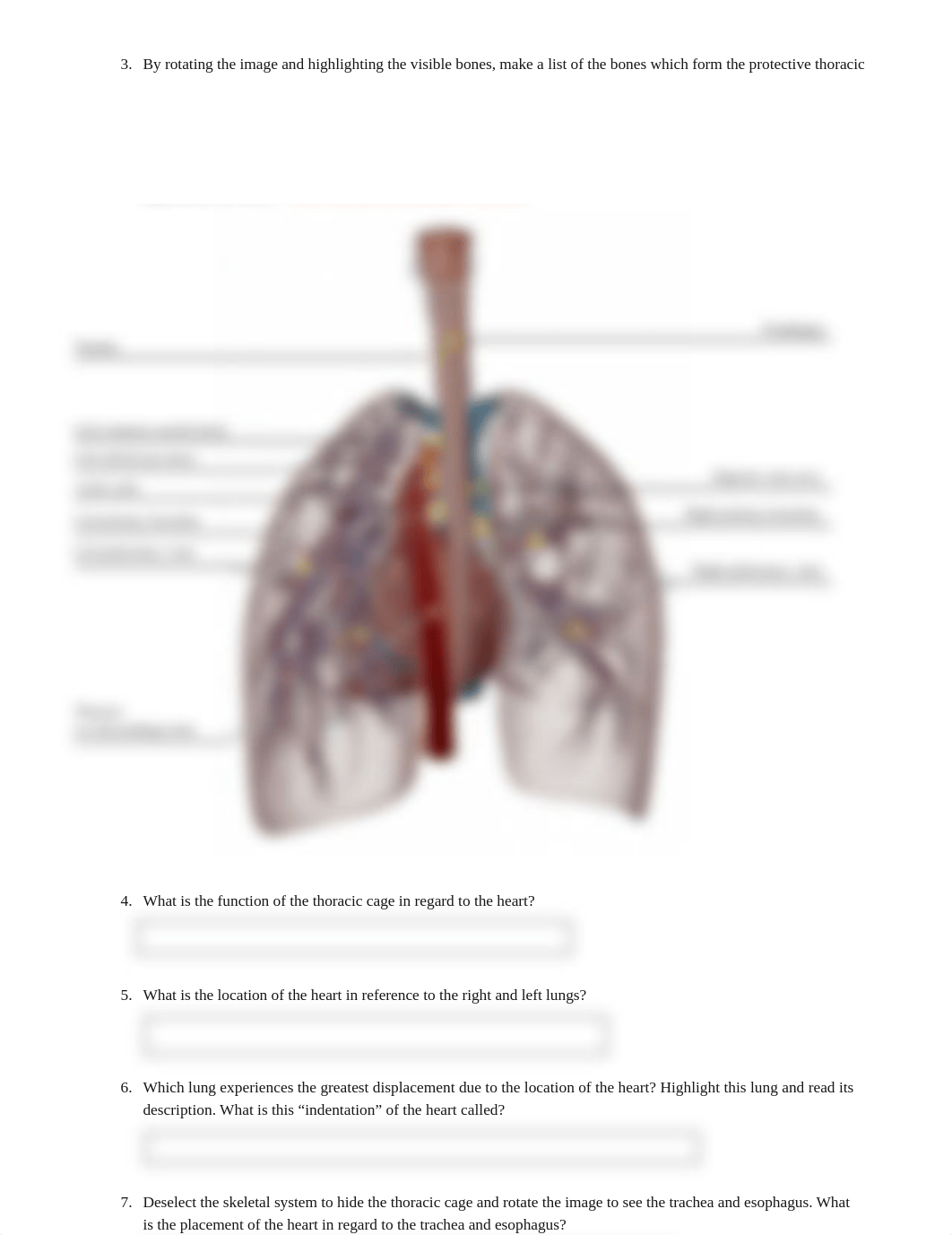 lab activity 2.docx_ddgizenpxm2_page3