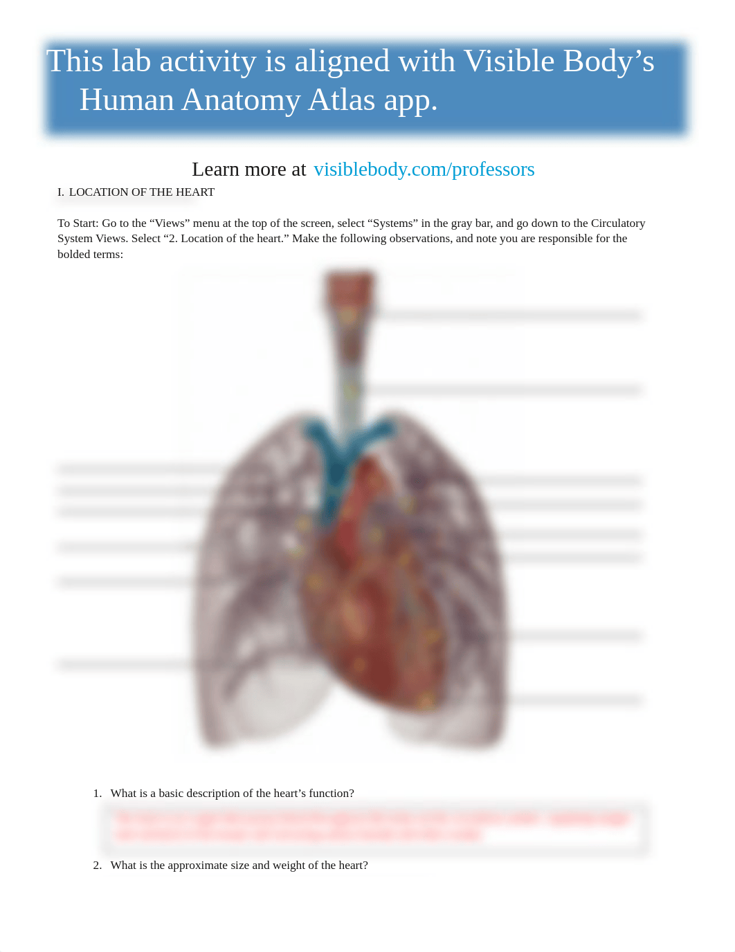 lab activity 2.docx_ddgizenpxm2_page2