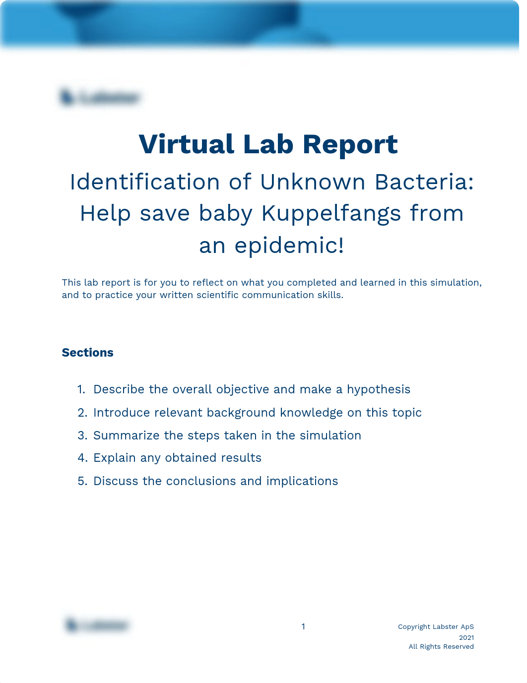 Lab Report 8 - BIO 205.pdf_ddgm0gvrmsy_page1