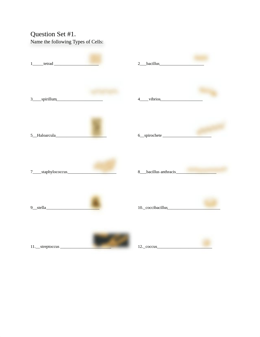 BIOL 2117L_Lab Hw #2_NA_Pro-EuKMicroMetab_nAns_Summ. 2020.pdf_ddgqkgw0po3_page2