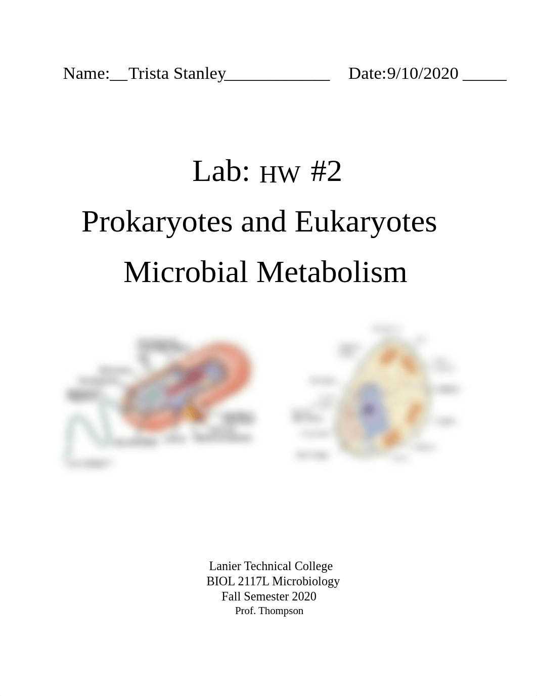 BIOL 2117L_Lab Hw #2_NA_Pro-EuKMicroMetab_nAns_Summ. 2020.pdf_ddgqkgw0po3_page1