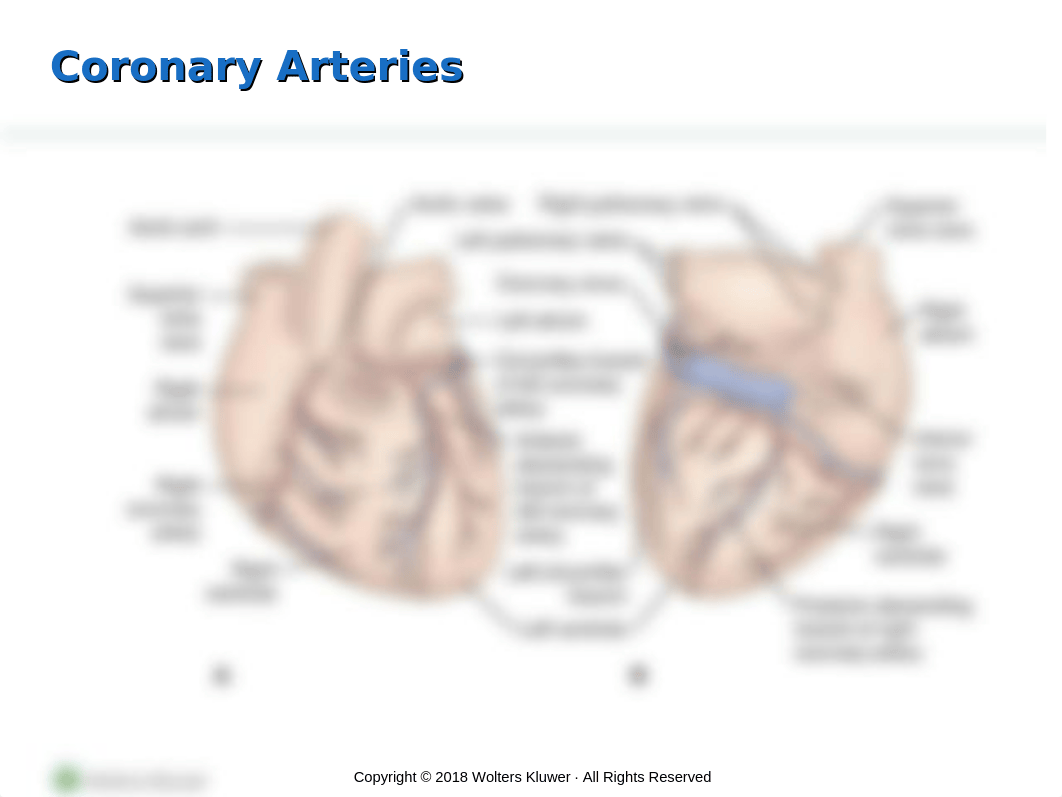 PPT_Chapter27.ppt_ddgvjc27vnq_page4